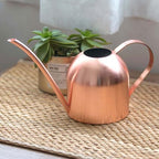 Stainless Steel Long Spout Watering Pot 500ml for Flowers - Image 5