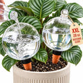 2 Pack 28 oz XXL Extra Large Self Watering Globes to 3+ Weeks Watering by Unknown