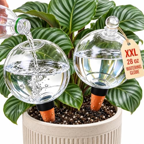 2 Pack 28 oz XXL Extra Large Self Watering Globes to 3+ Weeks Watering by Unknown