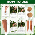 6 Pcs 4.9'' 5.9'' 6.7'' Terracotta Watering Spikes with Lid Automatic Plant Waterer Vacation Friendly Self Watering Planter Insert Plant Water Devices for Indoor Outdoor Plants, 3 Sizes - Image 3