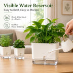 Planterhoma Self Watering Plant Pots for Indoor Plants 4.3 inch, 6 Packs Square Self-Watering Planters with Drainage Hole, White African Violet Pots for Devil's Ivy, Spider Plant, Orchid, Herb - Image 5