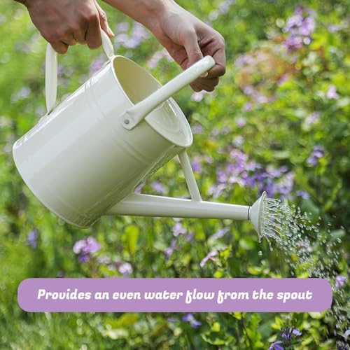 1 Gallon Watering Can for Plants, Watering Cans for Indoor&Outdoor Gardening, Galvanized Steel Watering Pot with Removable Spout, Metal Water Can with Ergonomic Movable Handle(White) - Image 5