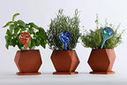 5 STAR SUPER DEALS Aqua Plant Watering Globes - Automatic Watering Ball Bulbs - Self Watering Plant Glass Bulbs System (16, Small) - Image 4