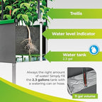 BioGreen Raised Garden Bed with Trellis Heidelberg | 11 gal | 1“L x 2.3“W x 7.6“H | Self-Watering Metal Planter Box | Ideal Growth for Climbing Plants - Image 5