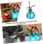 2pcs Vintage Glass Watering Spray Bottle Design Nozzles for Precise Plant Care for and Bonsai Watering Home Office - Image 3