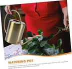 Holibanna Brass Watering Can for Plants Long Spout Stainless Steel Kettle 1.5L Capacity for Indoor and Outdoor Use Practical Watering Pot Ergonomic Handle - Image 5