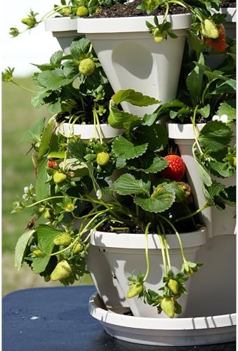 Vertical Garden Planter 4 Tier Stackable System 16 Plants, Space Saving Herb, Strawberry & Food Crop Planter with Center Support Hole for Indoor Outdoor Gardening (4, Stone, Small) - Image 6