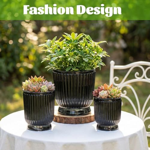 Set of 6 Self Watering Plant Pot 3 Sizes Plastic Double Layer Self Watering Flower Pot with Multi Mesh Drainage Holes Wicking Reservoir for Indoor Outdoor Garden Plants(Black) - Image 4