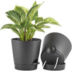 FaithLand 2 Tier Plant Stand and 2-Pack 8 Inch Self Watering Pots Bundle - Image 5