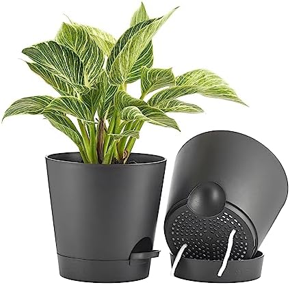 FaithLand 2 Tier Plant Stand and 2-Pack 8 Inch Self Watering Pots Bundle - Image 5