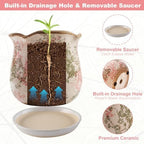 Ceramic-Planters-for-Indoor-Plants with Saucer, 6 inch Vintage Ice Crackle Glaze Plant Pots with Drainage Holes, Decorative Flower Pots for Outdoor Garden Home Decor, Tuscan Pot for Plant - Image 5