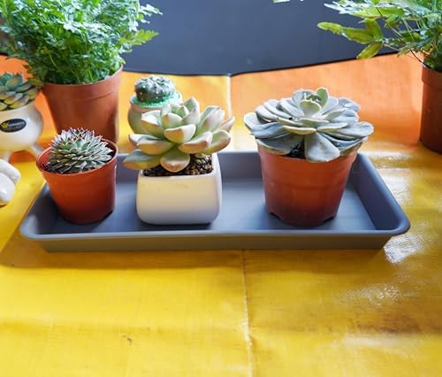 VUWEZ 2 Pack of Plastic Plant Tray Saucer Rectangular 30 inch, Planter Trays Saucers for Indoors Outdoor, Plant Water Drip Tray for Flower Pot Planter, Windowsill Pots Trays (8 X 30'', Gray) - Image 5