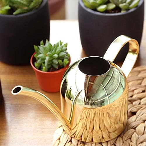 Naysku Long Spout Watering Can, Stainless Steel Rustic Retro Textured - Image 6