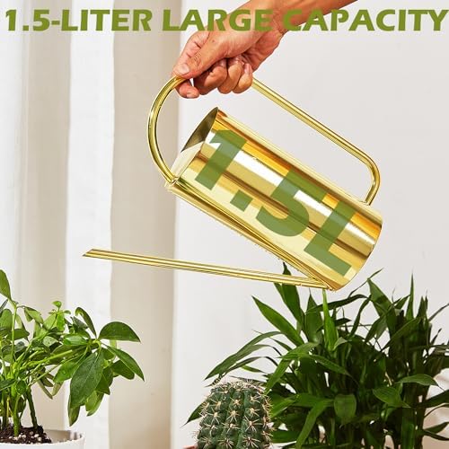 Watering Can for Indoor Plants, 50 oz/1.5L Stainless Steel Watering Can Pot with Long Spout, Garden Watering Cans with Comfortable Handle for Indoor House Plants Bonsai Flower Decorative - Image 2