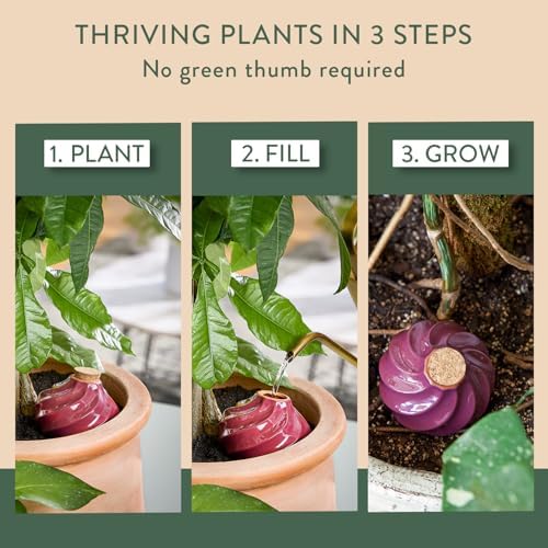 Modern Sprout Terracotta Self-Watering Bulbs, 10oz - Plum - 2Pk - Image 4