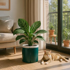 D'vine Dev Self Watering Terracotta Pot, Teal Glass Cup, 8 in, 37-X-C-5 - Image 2