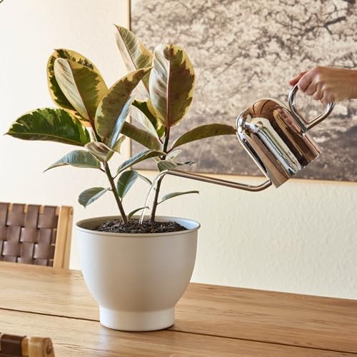 Bloem Crane 1.5L Watering Can, Silver Powder Coated with Novelty Handle and Long Sleek Spout - Image 2