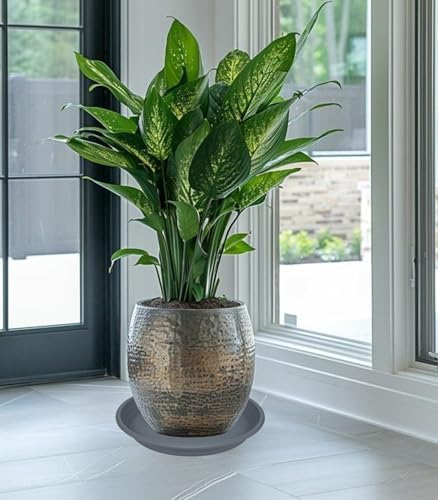 5 Pack of 14 inch Plant Saucer, Large Plant Tray, Heavy Sturdy Plant Drainage Tray for Indoors, Bird Bath Bowls, Sturdy Plastic Pot Tray for Planter (Gray) - Image 5