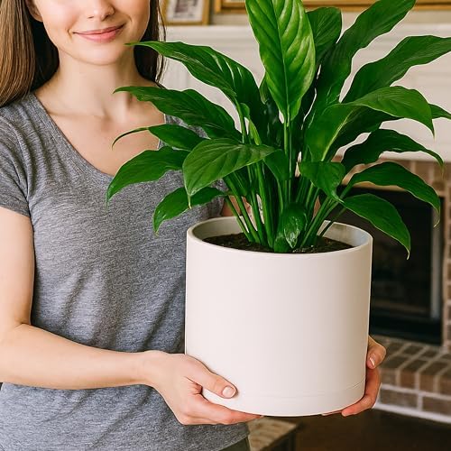 D'vine Dev Plastic Planter Pot with Saucer, 8 in, Oatmeal, 74-X-H-1 - Image 7
