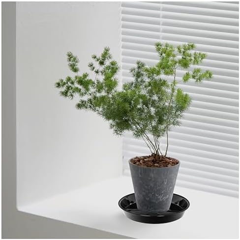 2 Pack Plant Saucer Drip Tray 19 inch, Large Heavy Sturdy Plastic Planter Flower Pot Saucers for Indoor Outdoor Garden, Plant Water Drip Trays for pots (19" 2Pack, Black) - Image 5