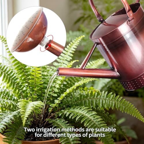 2 Gallon Meltal Garden Watering Can Removable Spout, Galvanized Steel Large Water Can with Embossed Design for Outdoor Indoor Plants (Copper, 2 Gallon) - Image 3