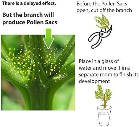 Feminized Seed Spray | 1 ounce Bottle for Growing All Female Pollen and Seeds – Safe, Non-Toxic Plant Flower Formula for Growers - Effective and Reliable Solution - Image 5