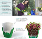 Santino ASTI 7.9 Inch Self Watering Planters Shade/White (Set of 3) for Indoor Plants - Premium Quality Modern Plastic Pot w/Water Level Indicator for All House Plants, African Violets and Dahlias - Image 6