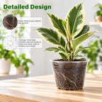 Bluepro Clear Nursery Pots with Drainage Holes, 6/8/10/12 Inch, 20-Pack - Image 4
