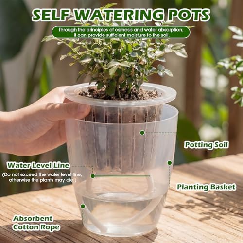 9 Pcs 3 Each of 5'', 6.5'', 7'' Large Clear Self Watering Plant Pots - Image 5
