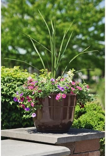 Garden Elements Indoor/Outdoor Glazed Brushed Happy Plastic Planter, Large, Dark Brown, 15" - Image 5
