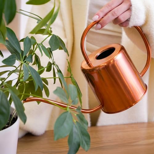 Plexon Rose Gold Metal Watering Can Indoor Plants, 54 oz Stainless Steel Long Spout Watering Can Outdoor House Plant Flower, Garden - Image 2