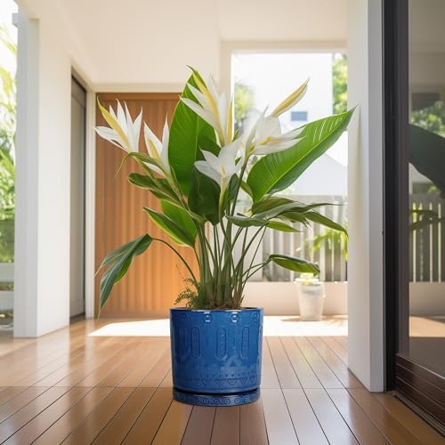 Eightpot Plant Pot Saucer - 11.4 Inch Plant Saucer for Outdoors Ceramic Plant Tray for Indoors No Holes Large Plant Drip Trays Round Flower Pot Saucer Plant Dishes to Catch Water Blue - Image 6