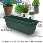 Outland Living 6-Ft Raised Garden Bed - Vertical Garden Freestanding Elevated Planter with 4 Container Boxes - Good for Patio or Balcony Indoor and Outdoor - Perfect to Grow Vegetables Herbs Flowers - Image 4