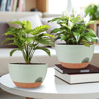Vanslogreen Plant Pots 12inch Self Watering Pots, Set of 2 Plastic Planters with Drainage Holes and Saucers, Flower Pots for Indoor Outdoor Plants (Green) - Image 4