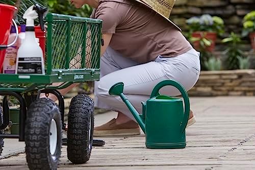 Consolidated Plastics Durable Swiss Watering Can with UV Protection, Ergonomic Handle for Indoor/Outdoor Gardening, Made in Switzerland (4 Liter, Green) - Image 5