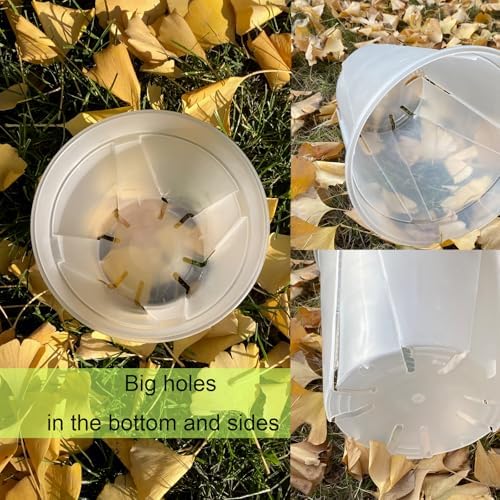 Clear Plant Nursery pots with Saucers,5/6/7/8 inch 8 Pack - Image 4