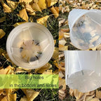 Clear Plant Nursery pots with Saucers,5/6/7/8 inch 8 Pack - Image 4