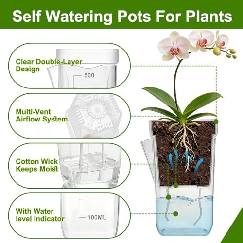 HITOSTAR 12 Pack 4 Inch Mini Clear Self Watering Pots for Indoor Plants, Small Plastic Planters with Drainage, Hydroponic Nursery Propagation Cups, for African Violet Alocasia Pot (4 Inch, 12Pack) - Image 2