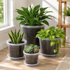 MIXC Clear Nursery Pots with Drainage Holes and Saucers, 12Inch, 12Pack - Image 2