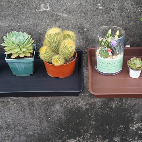 VUWEZ 4 Pack Plant Growing Nursery 1020 Trays, Plant Saucer Tray, Heavy Sturdy Seed Starting Trays, Plant Saucer for Indoors No Holes, Seed Starter Growing Tray (22"x11.2", Black) - Image 7
