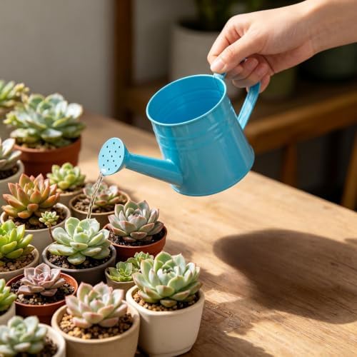 1L Retro Metal Painted Watering Can with Long Spout & Handle - Image 5