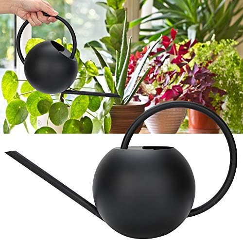 Indoor Watering Can for Indoor Plants, 34oz Metal Watering Cans Long Spout Water Can Watering Pot for Indoor Outdoor Plants Flower - Image 6