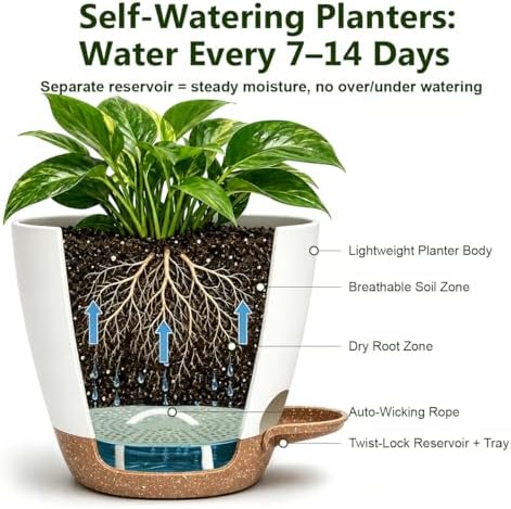Plant Pots for Indoor 9/8/7/6.5/6/5 Inch, Self Watering Planter Pots with Drainage Holes and Saucers, 6Pcs Plastic Flower Pots for Indoor & Outdoor Plants（White） - Image 4