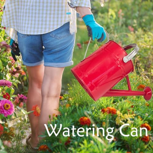 Metal Watering Can 1 Gallon for Indoor and Outdoor Plants Red - Image 4
