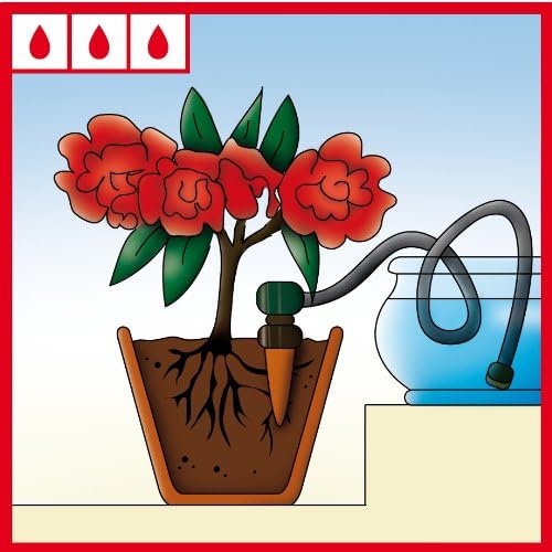 Blumat 12500 Junior Counter Display Box Automatic House Plant Watering, 25-Pack - Image 5