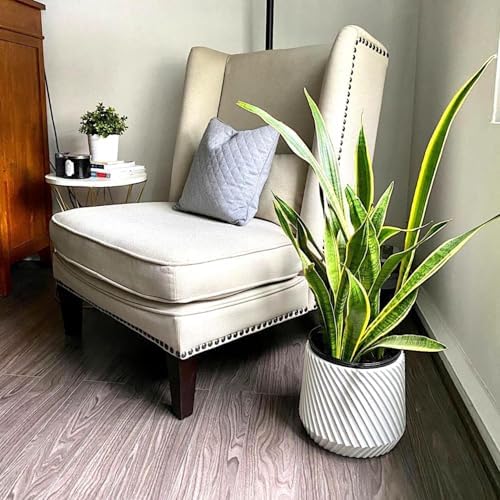 Fox & Fern Large Planter for Indoor or Outdoor, White Matte, 12 Inch - Image 7