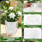Self Watering Plant Pots, 3.5'', Transparent White, 36 Pcs - Image 3