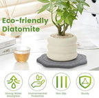 Plant Saucer for Indoors, 2 Packs 8 12 inch, Diatomaceous Earth Pot Saucers No Holes, Instant Dry Plant Drainage Trays for Pots, Dark Gray - Image 3