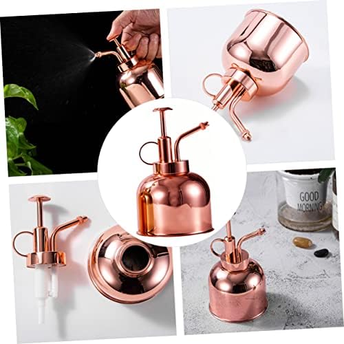 Vintage Succulent Watering Can Bottle with Pump, 300ml Stainless Steel - Image 2