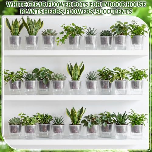 Self Watering Plant Pots, 6.6'', Transparent, 12 Pcs - Image 6